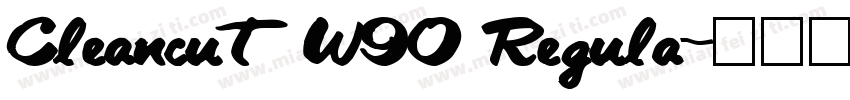 Cleancut W90 Regula字体转换